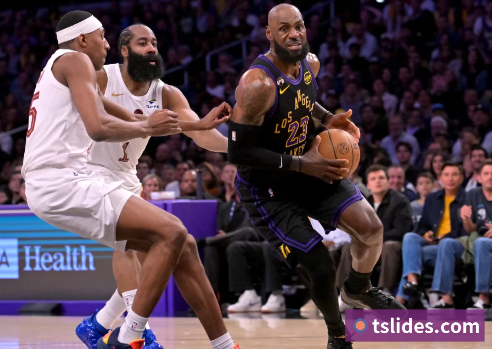 互动解说服务